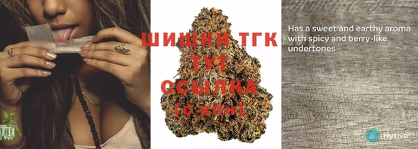 гидра Лагань