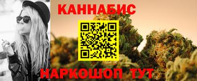 МДПВ Гагарин