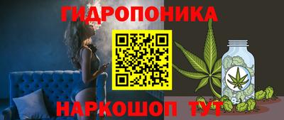 молекула духа Гай