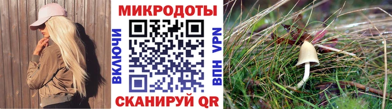 наркотики  Сорочинск  mega tor  Галлюциногенные грибы Psilocybe 