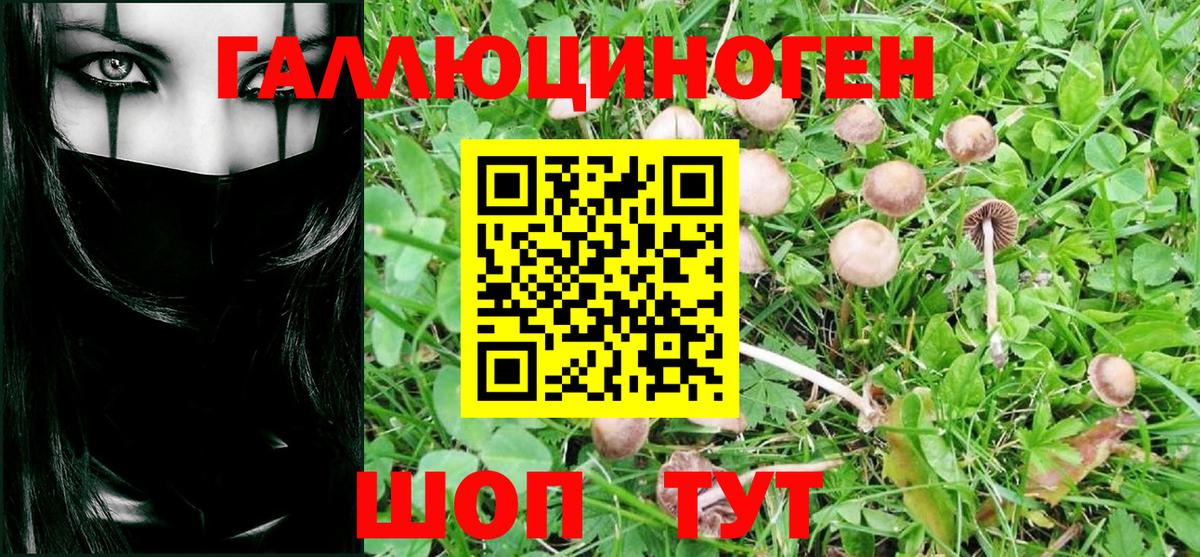 Галлюциногенные грибы MAGIC MUSHROOMS Сорочинск